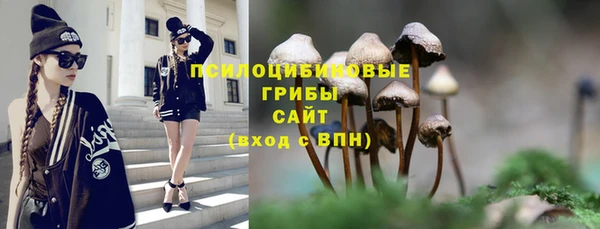 бошки Арсеньев